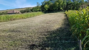 Vând 1200m teren intravilan și 1700m teren extravilan în Comuna Căianu, jud. Cluj - imagine 9