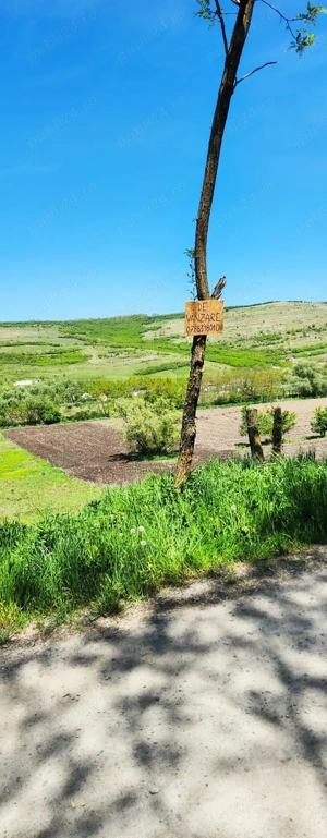 Vând 1200m teren intravilan și 1700m teren extravilan în Comuna Căianu, jud. Cluj - imagine 3