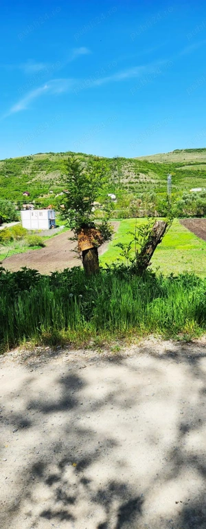 Vând 1200m teren intravilan și 1700m teren extravilan în Comuna Căianu, jud. Cluj - imagine 5