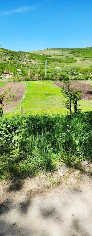 Vând 1200m teren intravilan și 1700m teren extravilan în Comuna Căianu, jud. Cluj - imagine 4