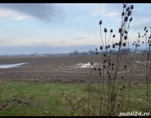 vand teren agricol Lipanesti Prahova 