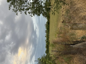 Vând teren în comuna Studinita Olt - imagine 4