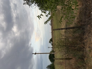 Vând teren în comuna Studinita Olt - imagine 2