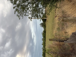 Vând teren în comuna Studinita Olt - imagine 5