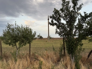 Vând teren în comuna Studinita Olt - imagine 7