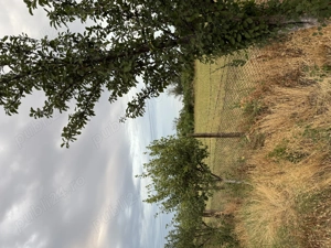 Vând teren în comuna Studinita Olt - imagine 6