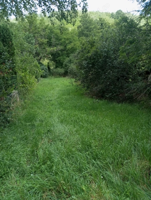 Teren garliste - imagine 4