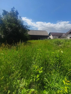 Teren intravilan, 10000mp, zona Maneuti, Radauti