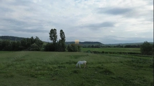 Teren 3953 mp Falticeni Tarna Mare De Vanzare 0727817187 - imagine 13 Teren 3953 mp Falticeni Tarna Mare De Vanzare 0727817187 - imagine 13