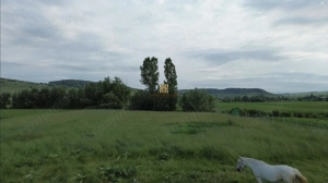 Teren 3953 mp Falticeni Tarna Mare De Vanzare 0727817187 - imagine 12 Teren 3953 mp Falticeni Tarna Mare De Vanzare 0727817187 - imagine 12