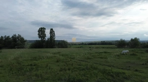 Teren 3953 mp Falticeni Tarna Mare De Vanzare 0727817187 - imagine 11 Teren 3953 mp Falticeni Tarna Mare De Vanzare 0727817187 - imagine 11