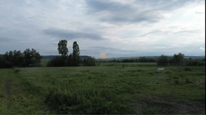 Teren 3953 mp Falticeni Tarna Mare De Vanzare 0727817187 - imagine 8 Teren 3953 mp Falticeni Tarna Mare De Vanzare 0727817187 - imagine 8