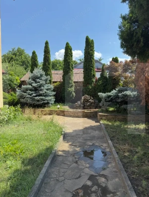 Oportunitate Investiție Spațiu Comercial, 420mp, zona Restaurant Tex  - imagine 2