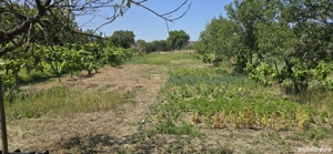 Casa batraneasca de vanzare Paulis - imagine 9