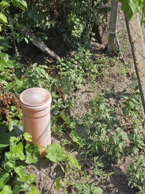 Teren de vânzare - Mihăieni ( loc. Acâs) - imagine 4 Teren de vânzare - Mihăieni ( loc. Acâs) - imagine 4