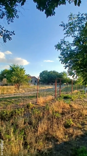 Proprietar Vand teren 2700 mp în Cebza, 29 km de Timisoara  - imagine 3