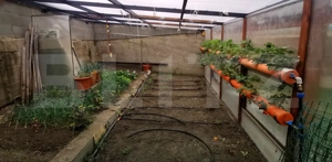 Casa individuala la cheie: 5 camere, 165 mp utili, 600 mp teren,  zona Oasului - imagine 7