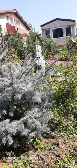 Vand teren 1000+700 MP casă de vacanta - imagine 9