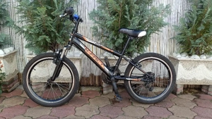 Bicicleta pentru copii, X Fact, Rookie 20 inch - imagine 2