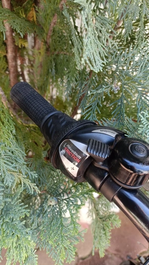 Bicicleta pentru copii, X Fact, Rookie 20 inch - imagine 3