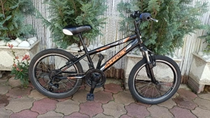 Bicicleta pentru copii, X Fact, Rookie 20 inch