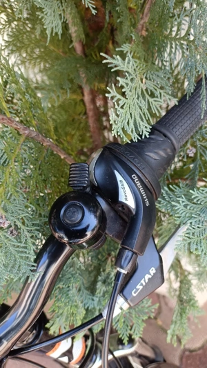 Bicicleta pentru copii, X Fact, Rookie 20 inch - imagine 5