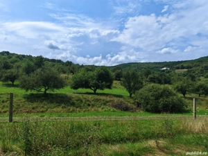 Teren intravilan 623 mp Valea Sanaslaului 