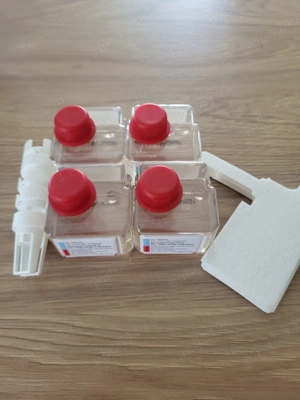 CWS Frutto ( guma turbo   nike )