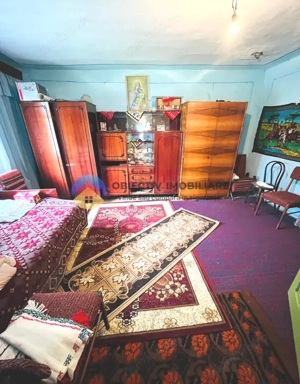 CASA traditionala BICAZU ARDELEAN + teren extravilan 1,6 hectare - imagine 10