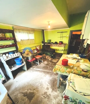 CASA traditionala BICAZU ARDELEAN + teren extravilan 1,6 hectare - imagine 9