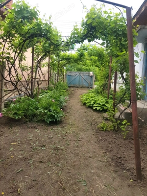 Casa de vânzare 1242 mp teren - imagine 8