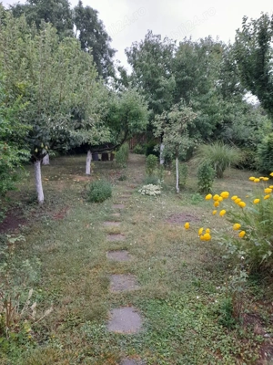 Lunei, case cu potential, zona linistita - imagine 4 Lunei, case cu potential, zona linistita - imagine 4