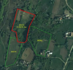 Vand teren extravilan in suprafata de 5976 mp situat in loc. Popesti, sat Curtea, jud. Valcea