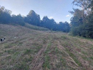 Vand teren extravilan in suprafata de 5976 mp situat in loc. Popesti, sat Curtea, jud. Valcea - imagine 4