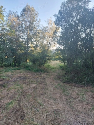 Vand teren extravilan in suprafata de 5976 mp situat in loc. Popesti, sat Curtea, jud. Valcea - imagine 5