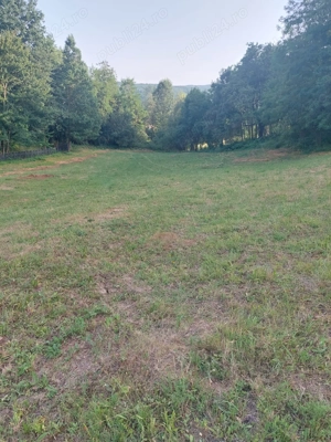 Vand teren extravilan in suprafata de 5976 mp situat in loc. Popesti, sat Curtea, jud. Valcea - imagine 2