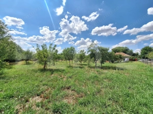 Casa cu teren intravilan, 4600 mp, investiitii/dezvoltare!