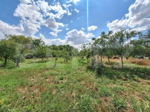 Casa cu teren intravilan, 4600 mp, investiitii/dezvoltare! - imagine 6