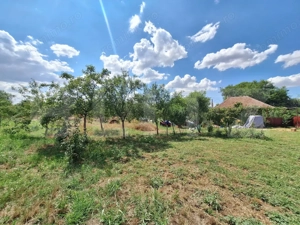 Casa cu teren intravilan, 4600 mp, investiitii/dezvoltare! - imagine 7