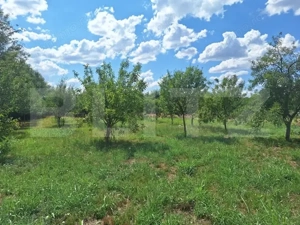 Casa cu teren intravilan, 4600 mp, investiitii/dezvoltare! - imagine 5