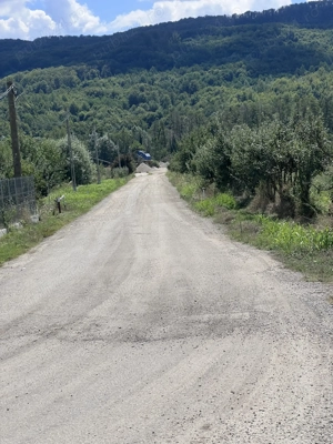 Teren 7.880 mp de vânzare   Șerbăneasa, Nicolae Bălcescu (Vâlcea) - imagine 4