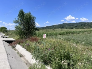 Teren 7.880 mp de vânzare   Șerbăneasa, Nicolae Bălcescu (Vâlcea) - imagine 5