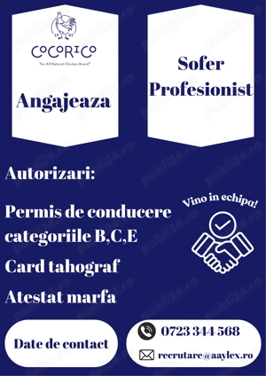 Angajam Sofer Profesionist - Buzau