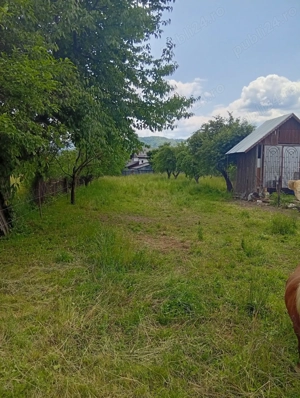 Teren intravilan  - imagine 2