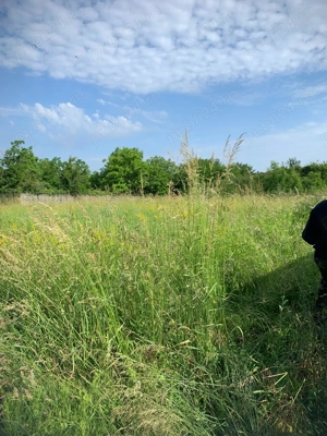 Vand inchiriez teren pt gradina in turcesti razboieni 