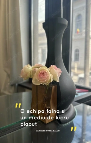  Post  Coafor  - imagine 3