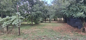 Casa de vanzare , zona centrala  - imagine 8