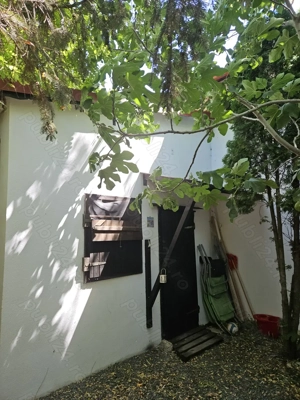 Casa in Vama Veche la pret de apartament - imagine 7