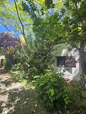 Casa in Vama Veche la pret de apartament - imagine 8