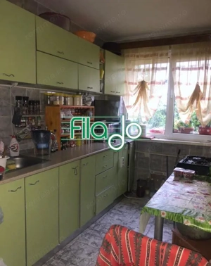 Apartament 3 camere Dristor, Camil Ressu - imagine 2